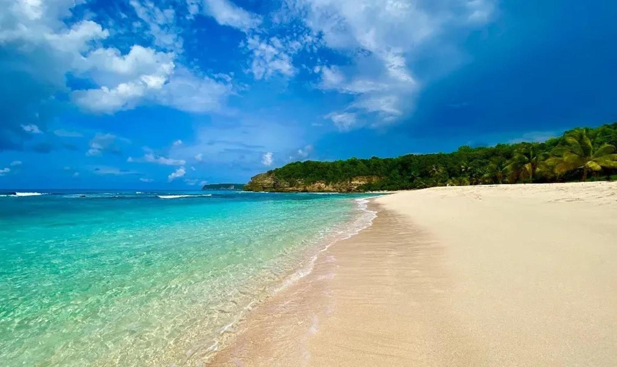 Bungalow Elegant A Anse-Bertrand Avec Jardin Prive Villa Eksteriør billede